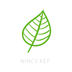 Cupressus sempervirens 'Totem' - Európai ciprus